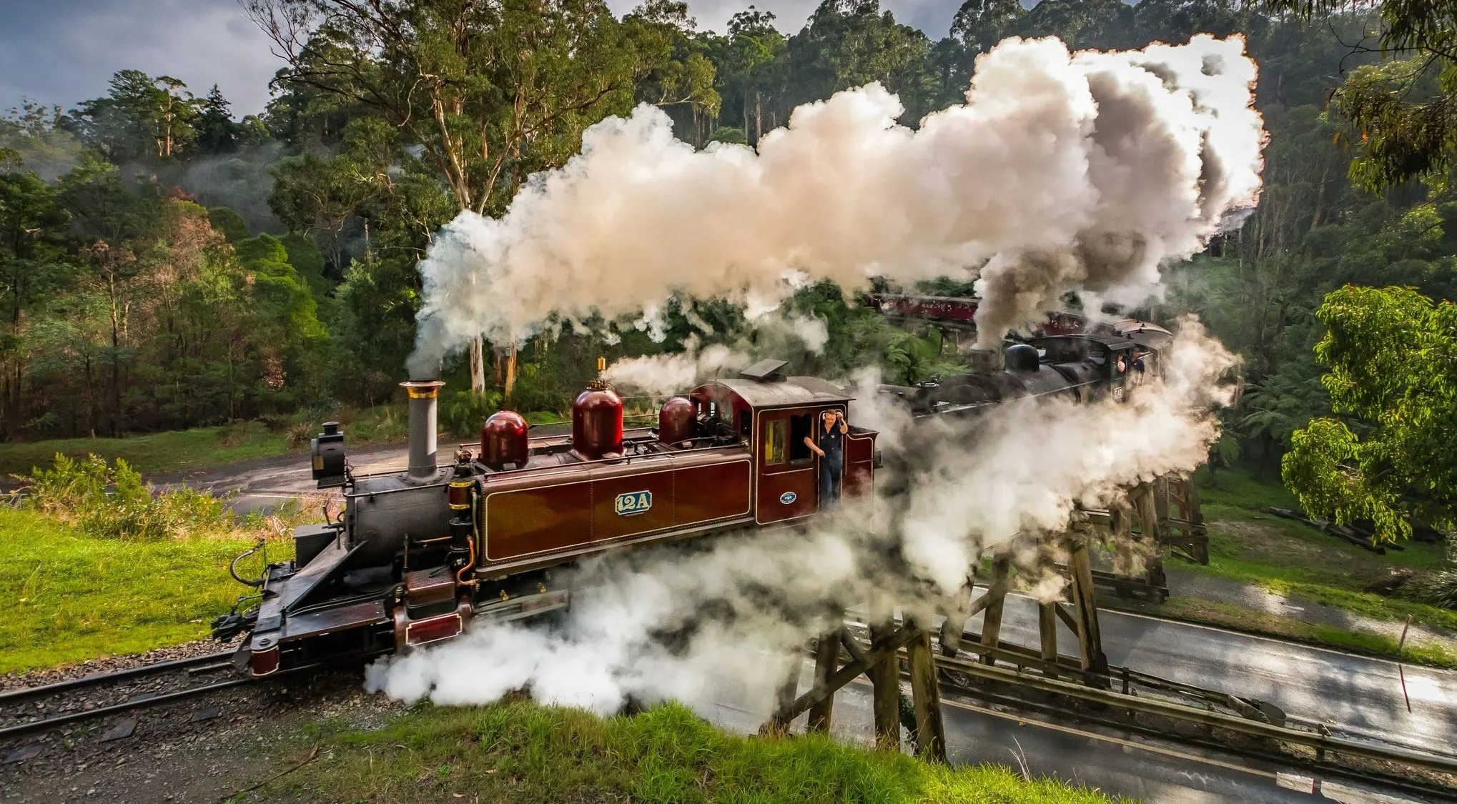 Dandenong Ranges & Puffing Billy