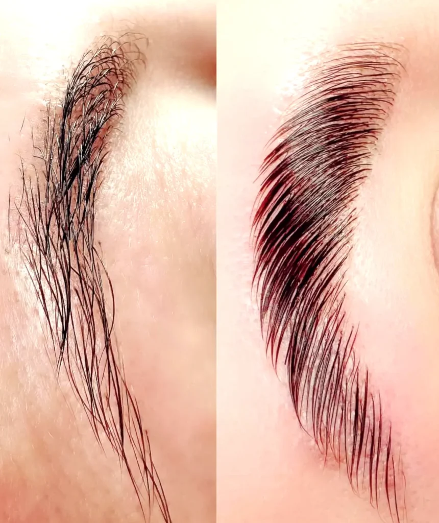 Purikelapa | Are There Apprenticeship Opportunities for Eyebrow Tattooists? From First Shadow to First Client