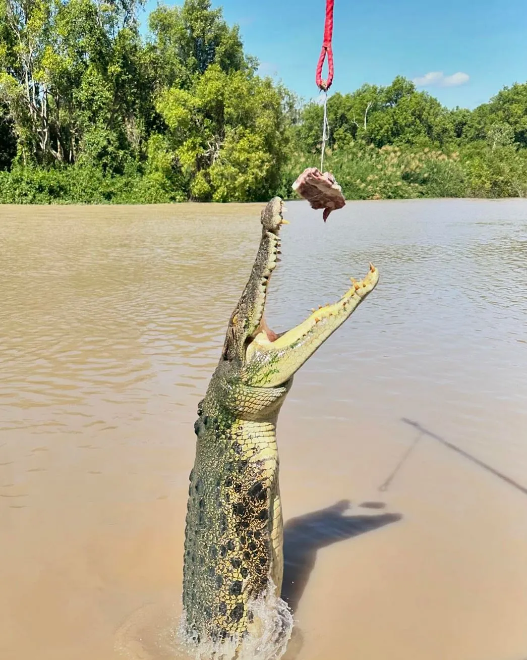 Jumping Crocodile Cruise