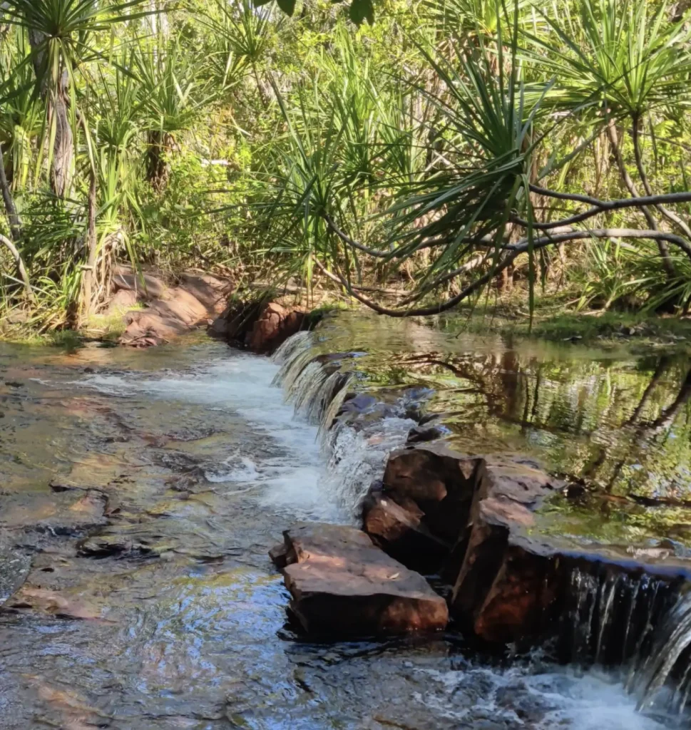 Litchfield National Park tours