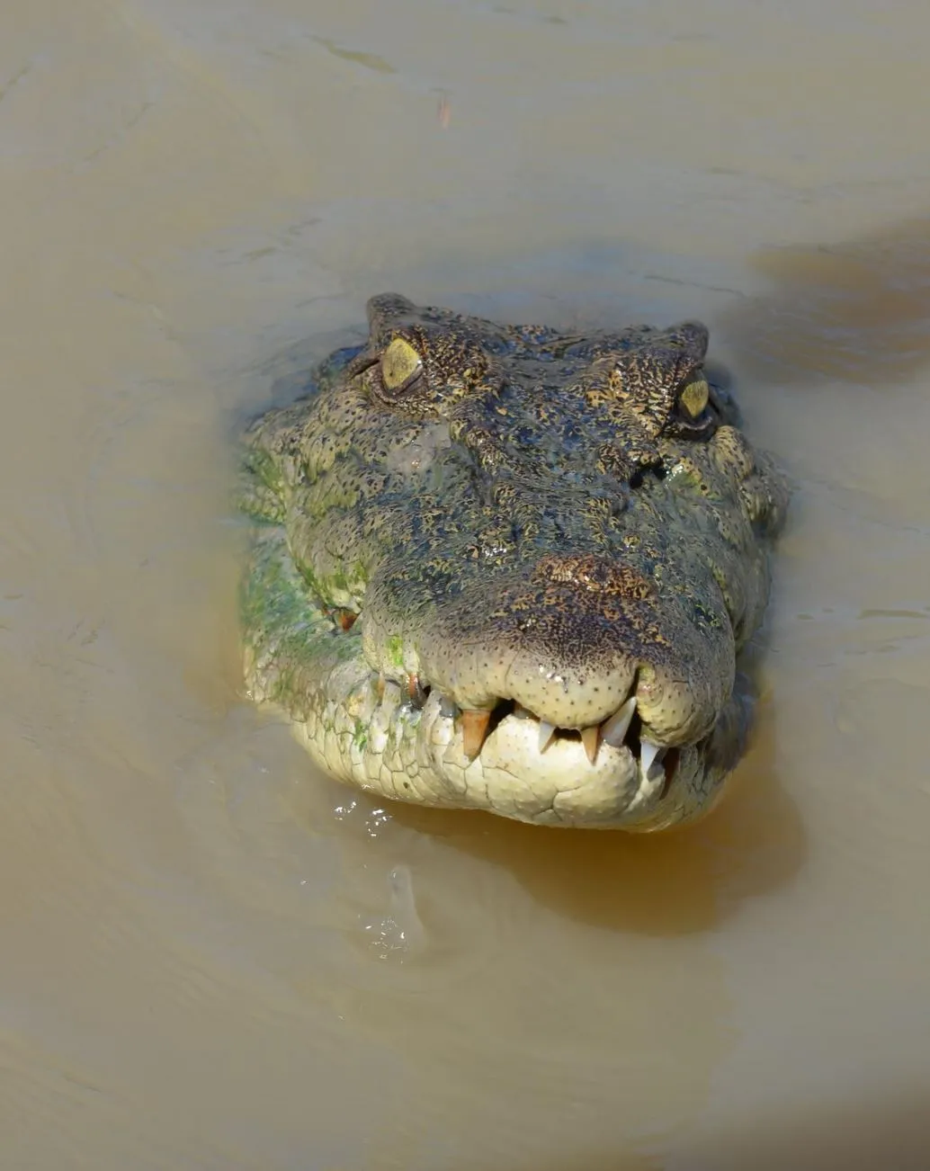 What to Expect on the Cruise, Kakadu National Park