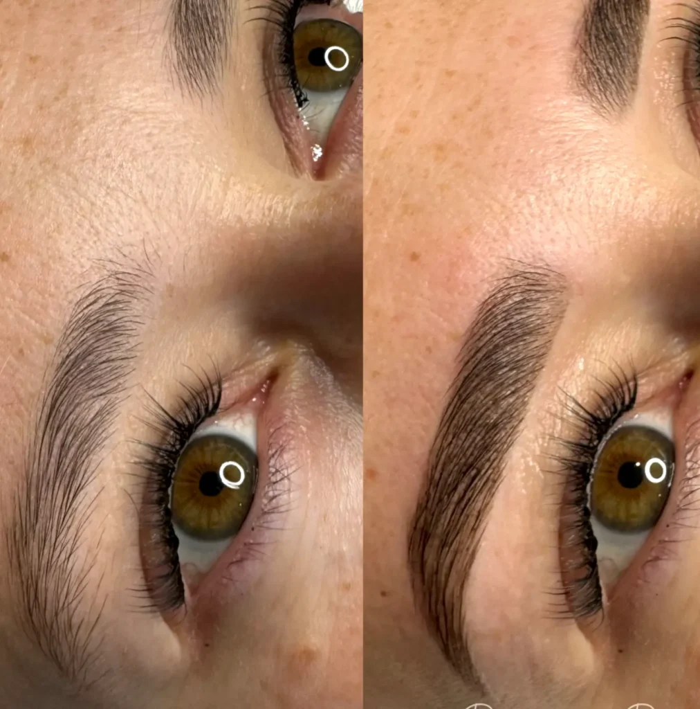 Purikelapa | Are There Apprenticeship Opportunities for Eyebrow Tattooists? Why It’s Worth the Extra Time