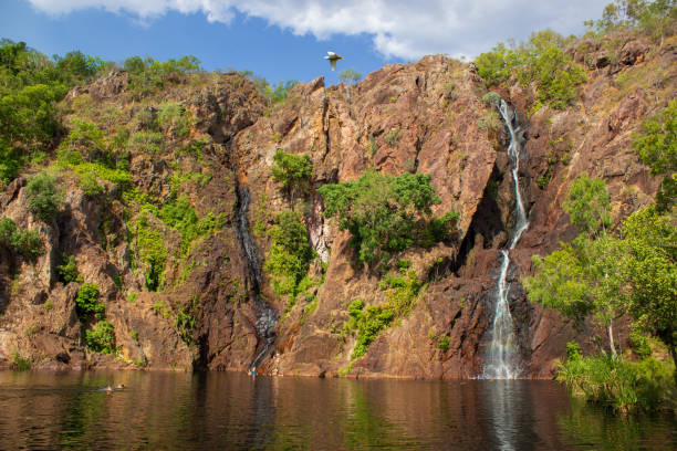 Explore the Untamed Beauty of Kakadu on a 2-Day Tour from Darwin