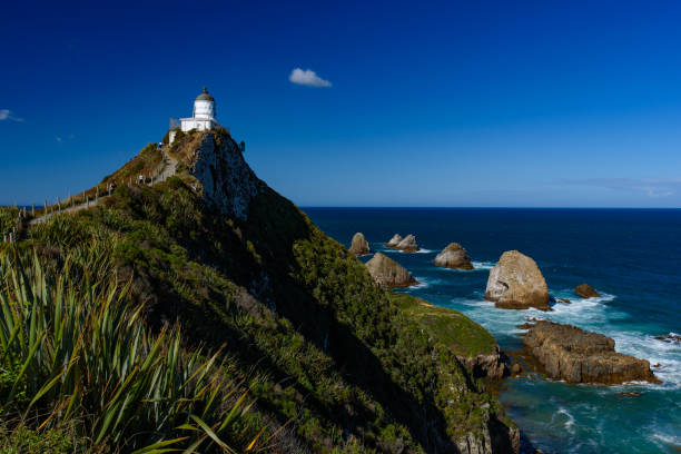 Purikelapa | Discover Phillip Island: The Ultimate Melbourne Getaway Guide